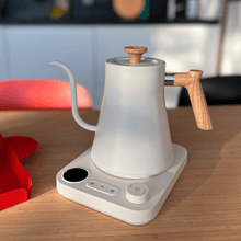 Svanehals Præcisions-Elkedel 0,9L – Temperaturkontrol 40-100°C - BloomVik