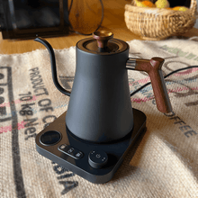 Svanehals Præcisions-Elkedel 0,9L – Temperaturkontrol 40-100°C - BloomVik