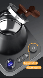 Svanehals Præcisions-Elkedel 0,9L – Temperaturkontrol 40-100°C - BloomVik