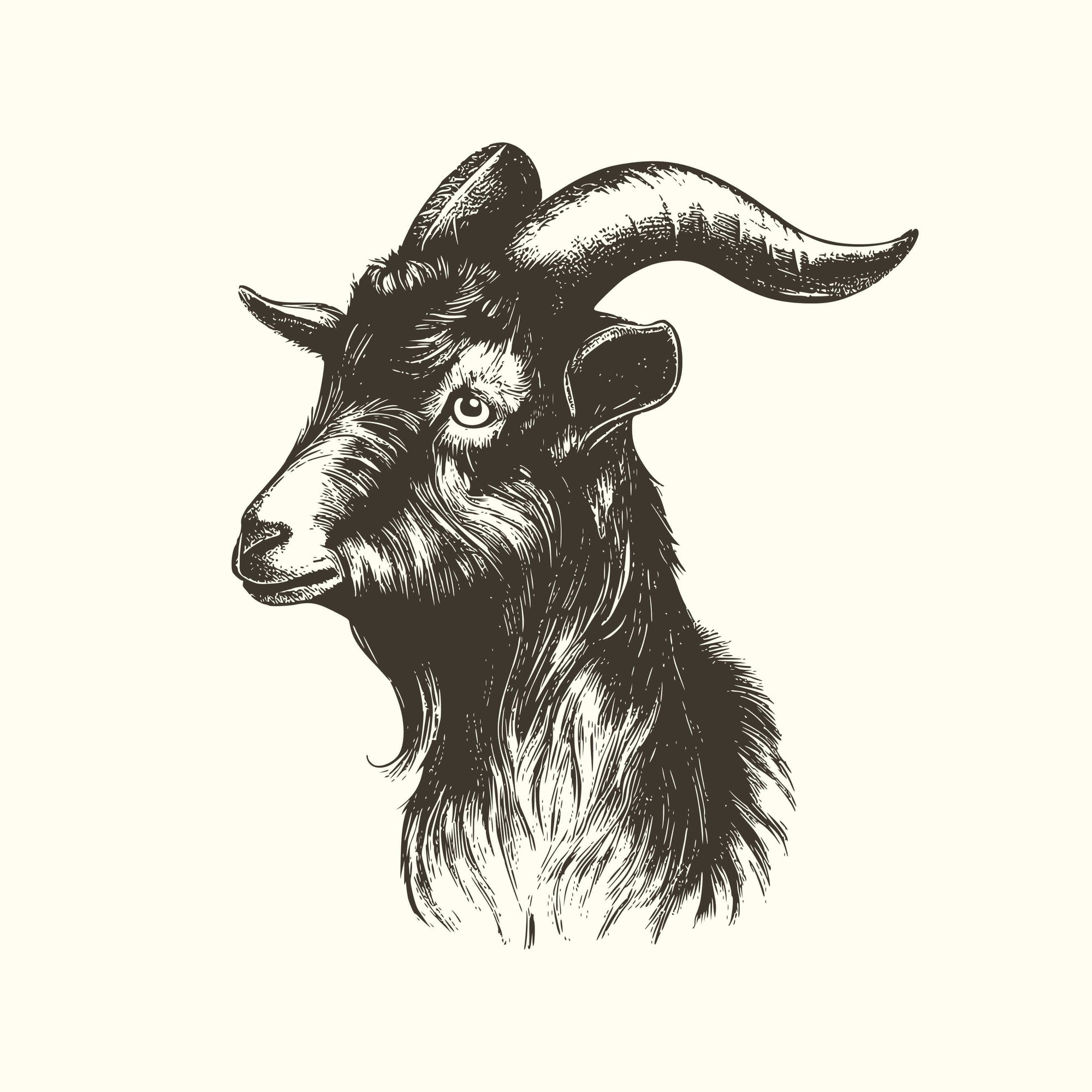 Goat Kaldi Home Roast