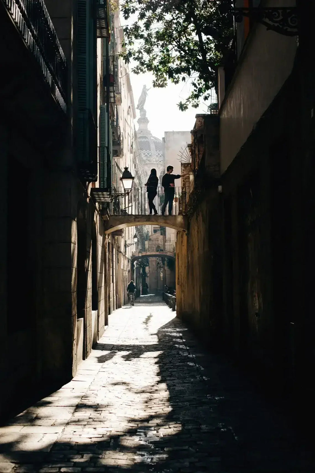 Iberital Vista Espressomaskine hos Home Roast