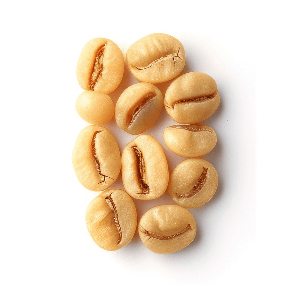 Kafferistning gulning Homeroast