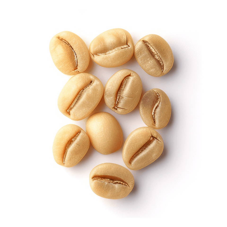 Kafferistning tørring Homeroast