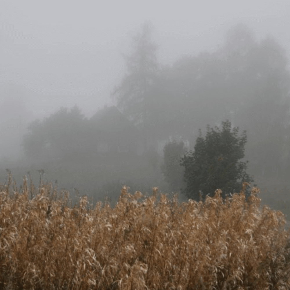 Stanislavs Vilums Kaffekop Reduceret Keramik Home Roast